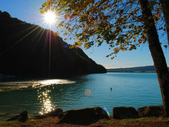 Maison/Gîte familial dans le Jura à 200m du lac avec piscine privée Marigny  Exterior foto