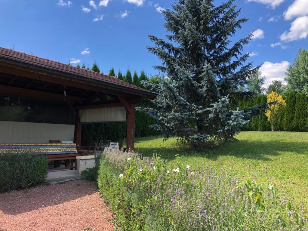 Maison/Gîte familial dans le Jura à 200m du lac avec piscine privée Marigny  Exterior foto